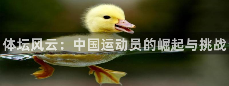 JJB竞技宝官方正版app科技:体坛风云:中国运动员的崛起与