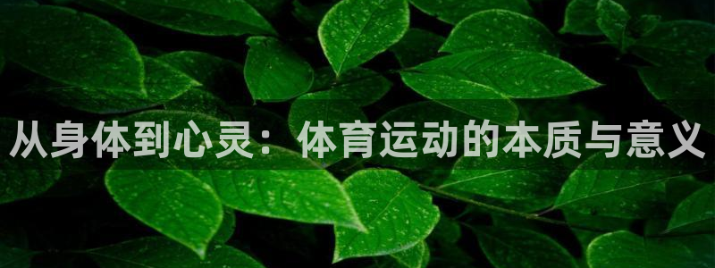 JJB竞技宝官网下载平台注册要钱吗是真的吗:从身体到心灵:体